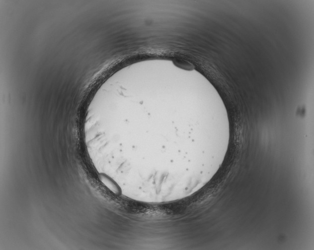 X0000115720256200912101435