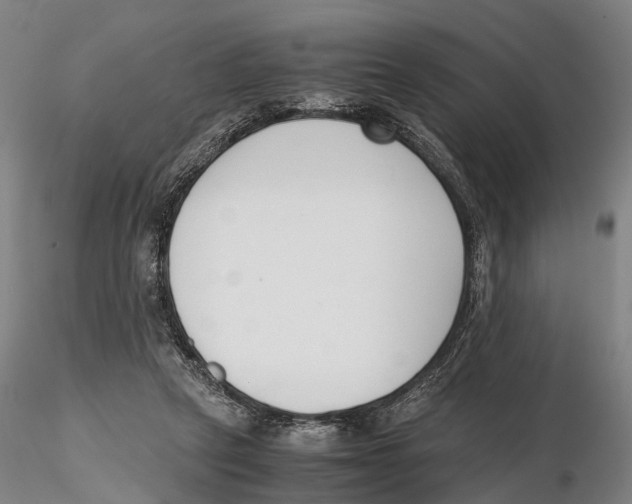 X0000115720257200912101435