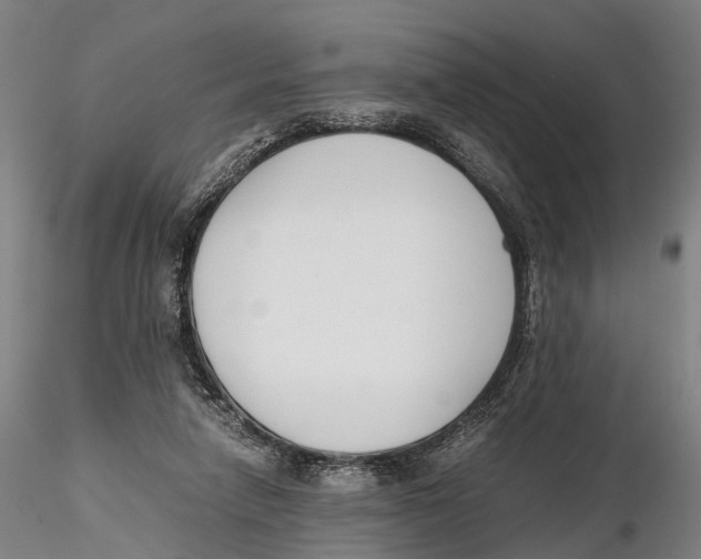 X0000115720258200912101435