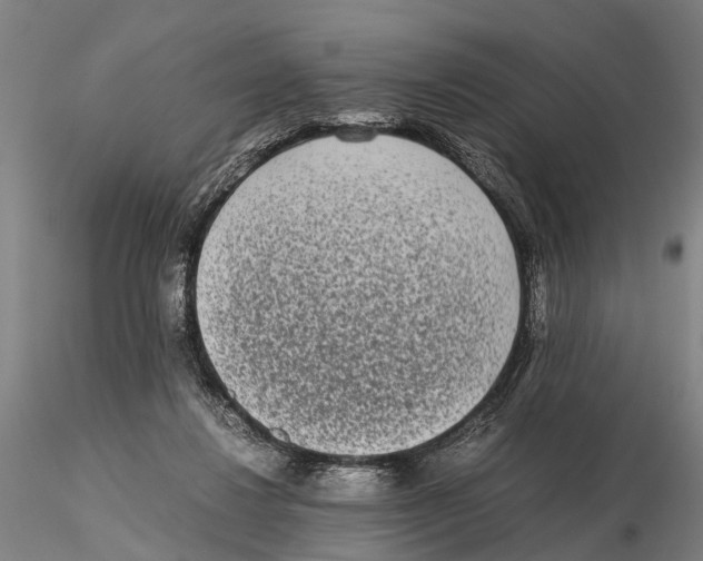 X0000115720260200912101435