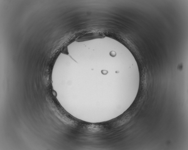 X0000115720261200912101435