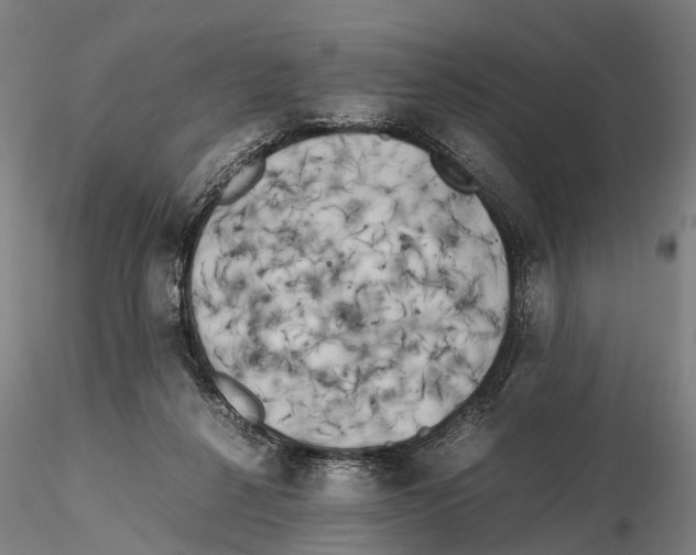 X0000115720264200912101435