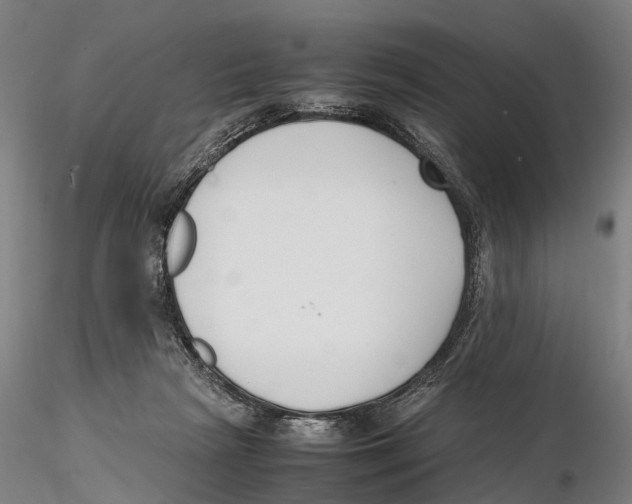 X0000115720265200912101435