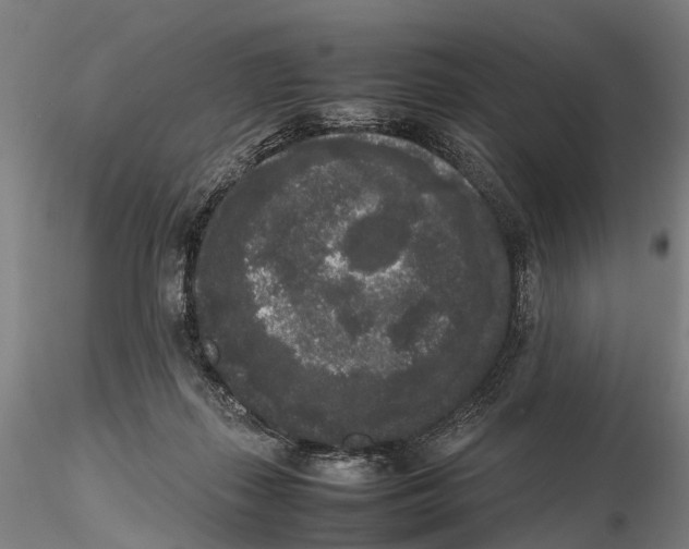 X0000115720267200912101435