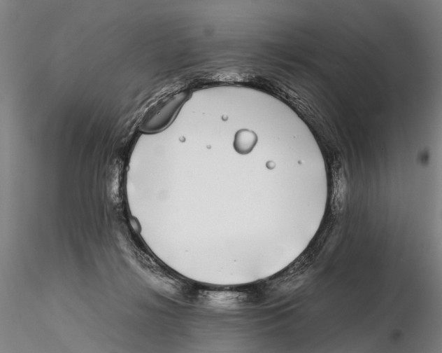 X0000115720268200912101435