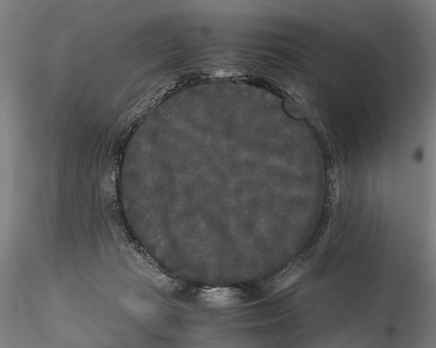 X0000115720269200912101435