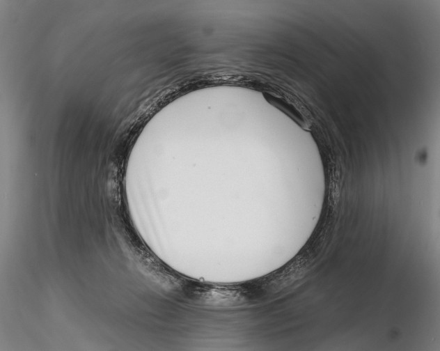 X0000115720270200912101435