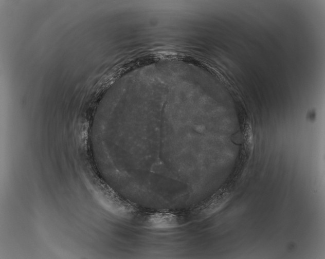 X0000115720271200912101435
