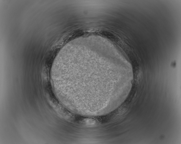 X0000115720272200912101435