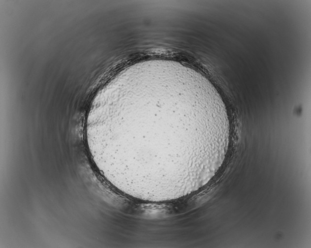 X0000115720273200912101435