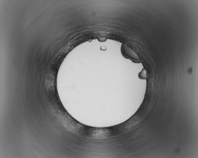 X0000115720274200912101435