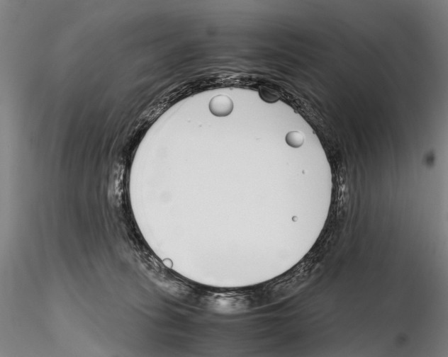 X0000115720275200912101435