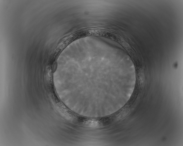 X0000115720276200912101435