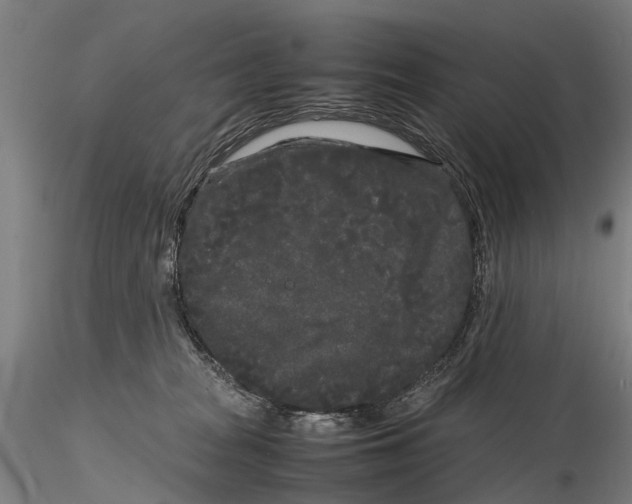 X0000115720277200912101435