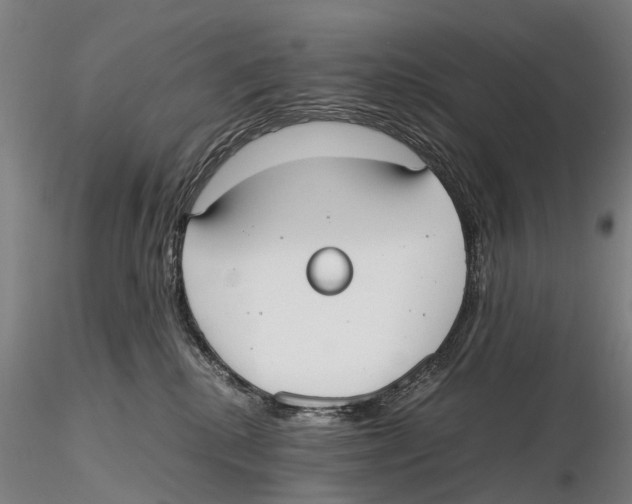 X0000115720280200912101435