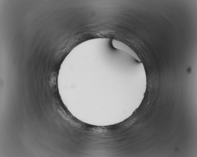 X0000115720284200912101435