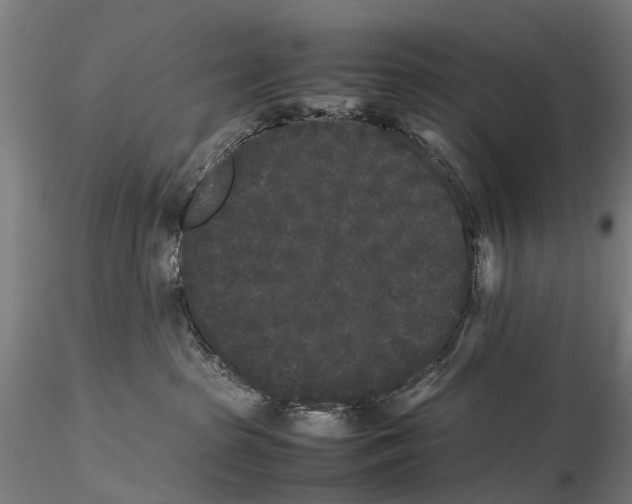 X0000115720285200912101435