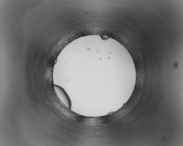 X0000115720286200912101435