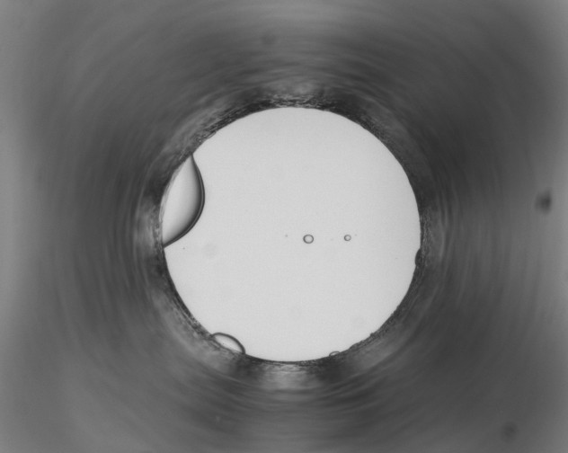 X0000115720287200912101435