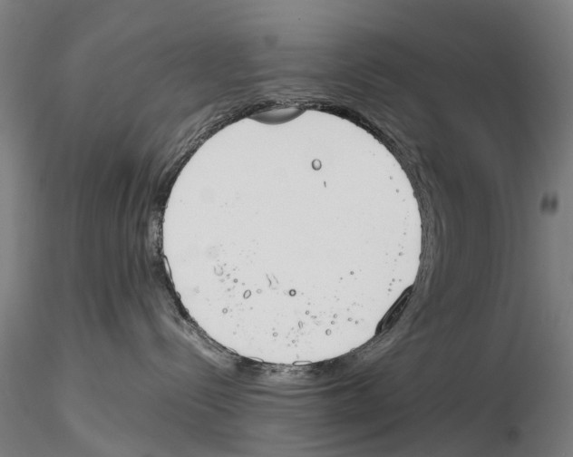 X0000115720288200912101435