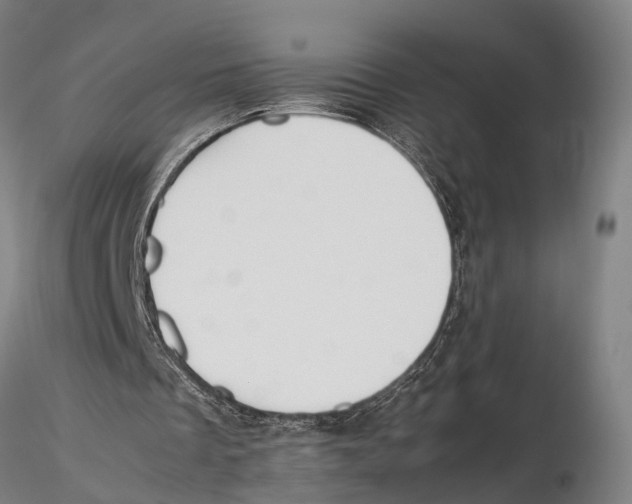 X0000115720289200912101435
