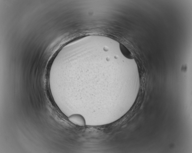 X0000115720290200912101435