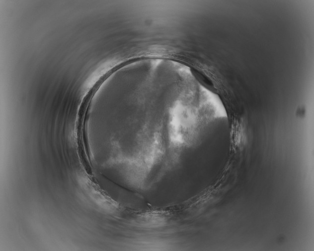 X0000115720292200912101435