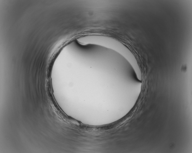 X0000115720293200912101434