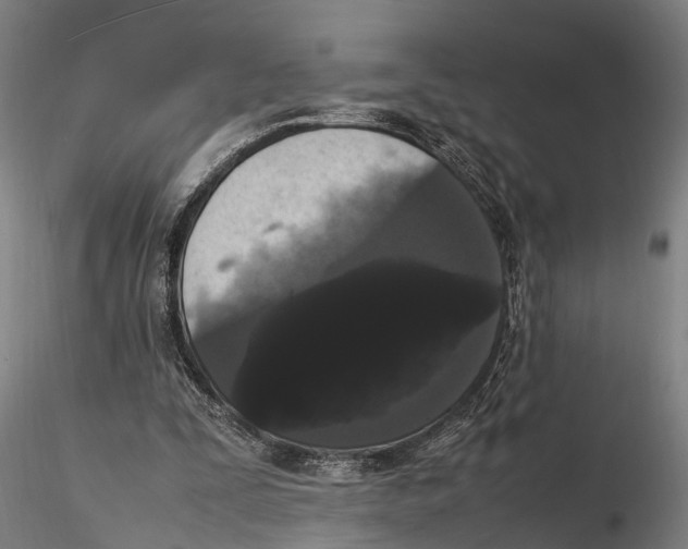X0000115720295200912101434