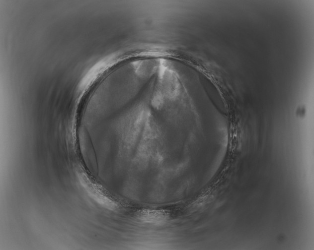 X0000115720296200912101434