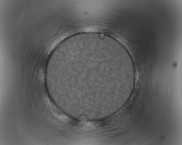 X0000115720297200912101434