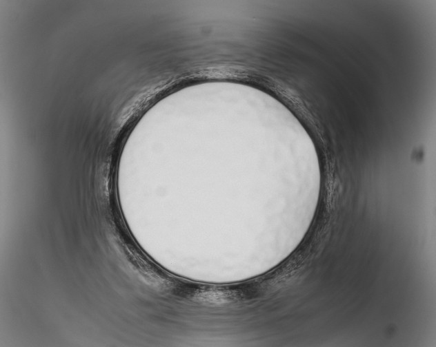 X0000115720299200912101434