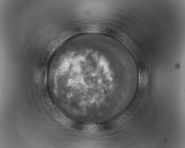 X0000115720301200912101434