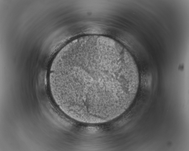 X0000115720302200912101434