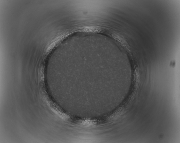 X0000115720303200912101434