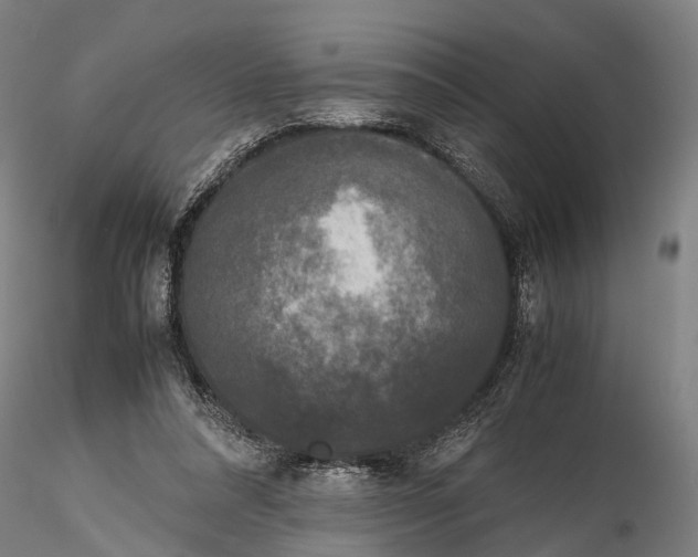 X0000115720304200912101434