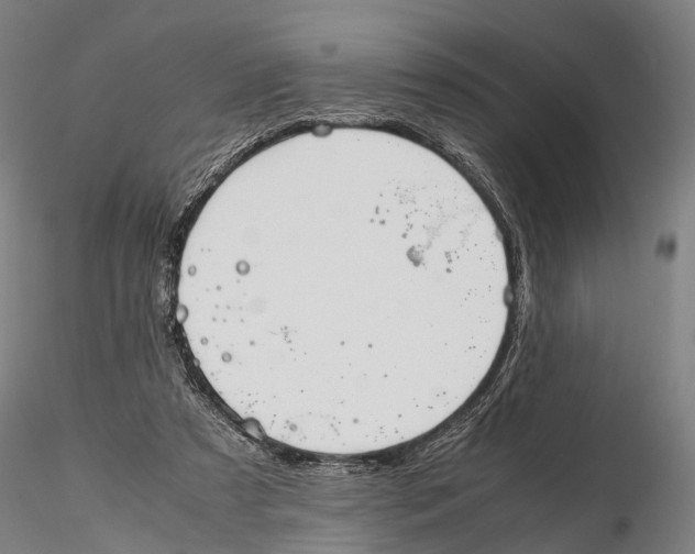 X0000115720305200912101434