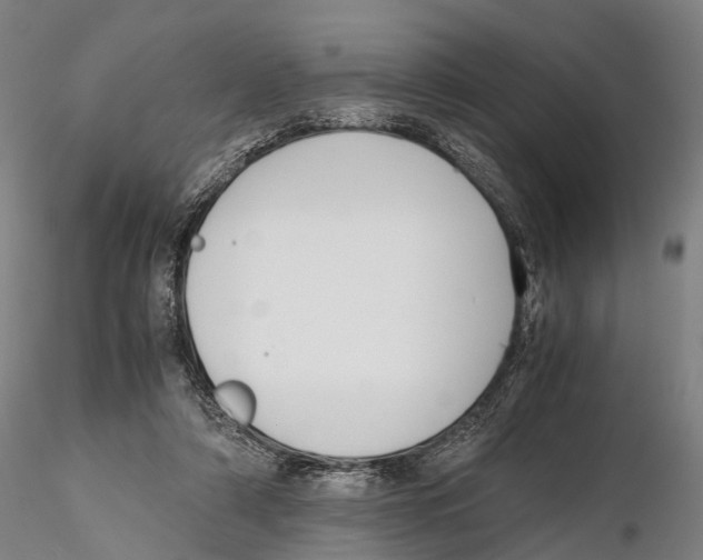 X0000115720306200912101434