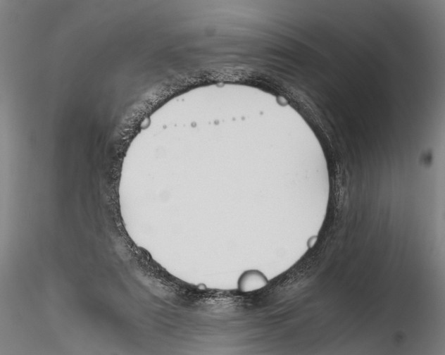 X0000115720307200912101434