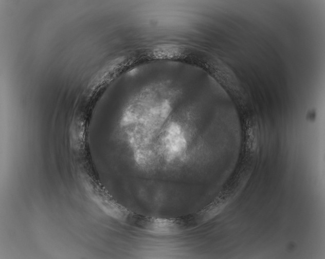 X0000115720308200912101434