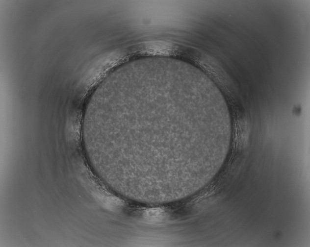 X0000115720309200912101434