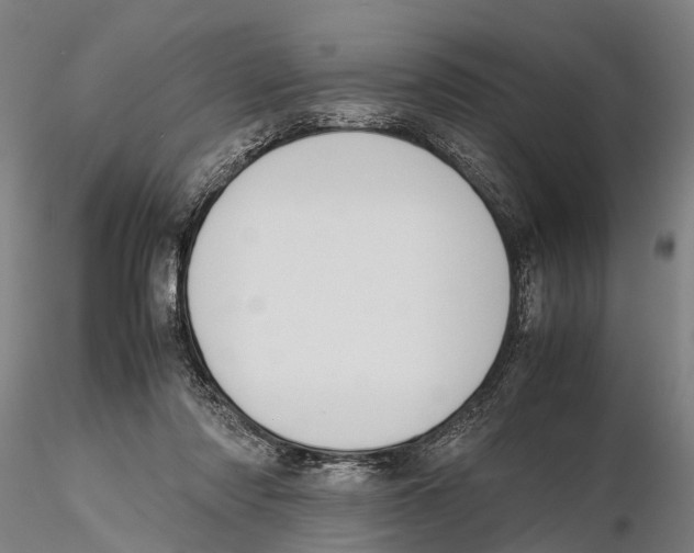 X0000115720310200912101434