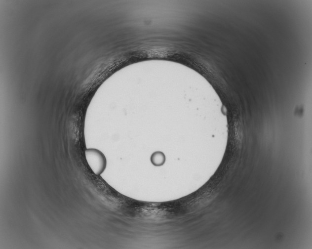 X0000115720311200912101434