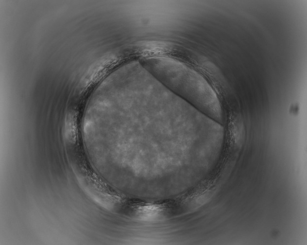 X0000115720312200912101434