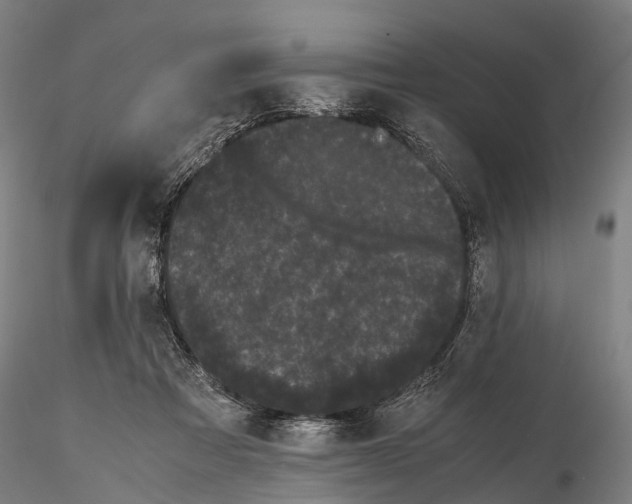 X0000115720313200912101434