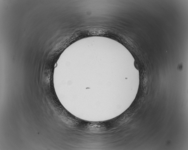 X0000115720315200912101434