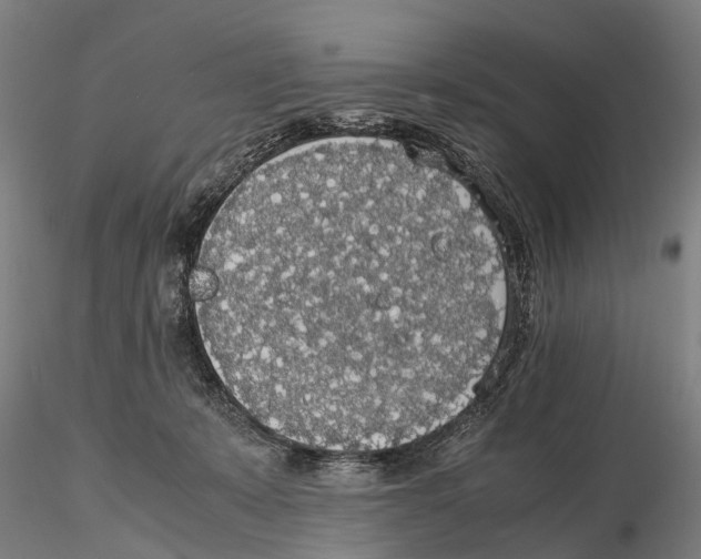 X0000115720319200912101434