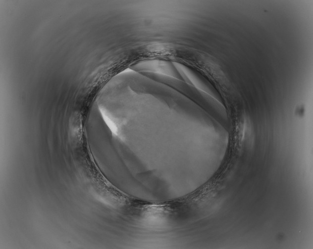 X0000115720320200912101434