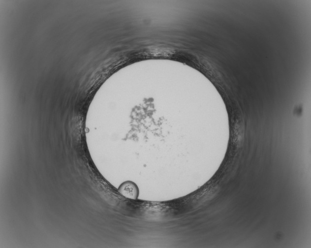X0000115720321200912101434