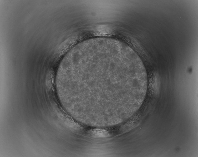 X0000115720322200912101434
